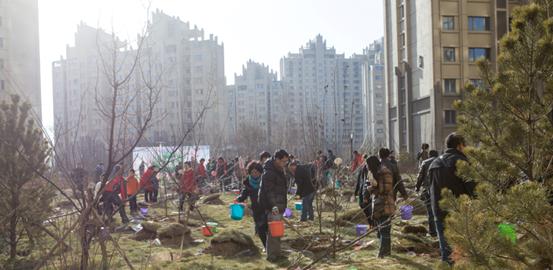 贺呼市全网担保网·凯旋门“我与小树共生长”树木认养运动圆满乐成
